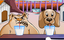 狗狗喝水比賽遊戲 / 狗狗喝水比賽 Game