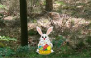 找到復活節小兔子遊戲 / 找到復活節小兔子 Game