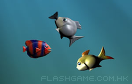 魚類戰爭遊戲 / 魚類戰爭 Game