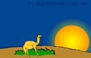 沙漠駱駝遊戲 / 沙漠駱駝 Game