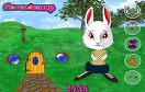滑稽的兔子遊戲 / 滑稽的兔子 Game