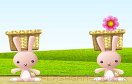 小兔摘花遊戲 / 小兔摘花 Game