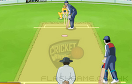 職業板球選手遊戲 / Cricket Rivals Game