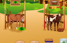 馬駒飼養員遊戲 / Horse Care Apprenticeships Game