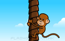 猴子爬樹遊戲 / 猴子爬樹 Game