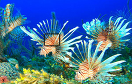 熱帶魚水下世界遊戲 / 熱帶魚水下世界 Game